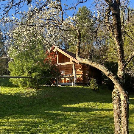 Hut At The Forest Male Brusnice Exterior foto