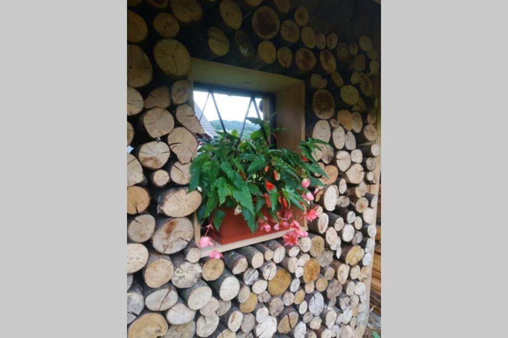 Hut At The Forest Male Brusnice Exterior foto