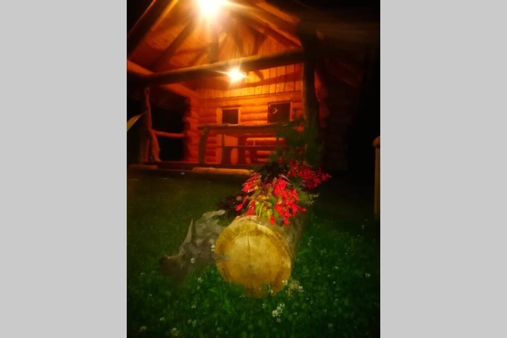 Hut At The Forest Male Brusnice Exterior foto