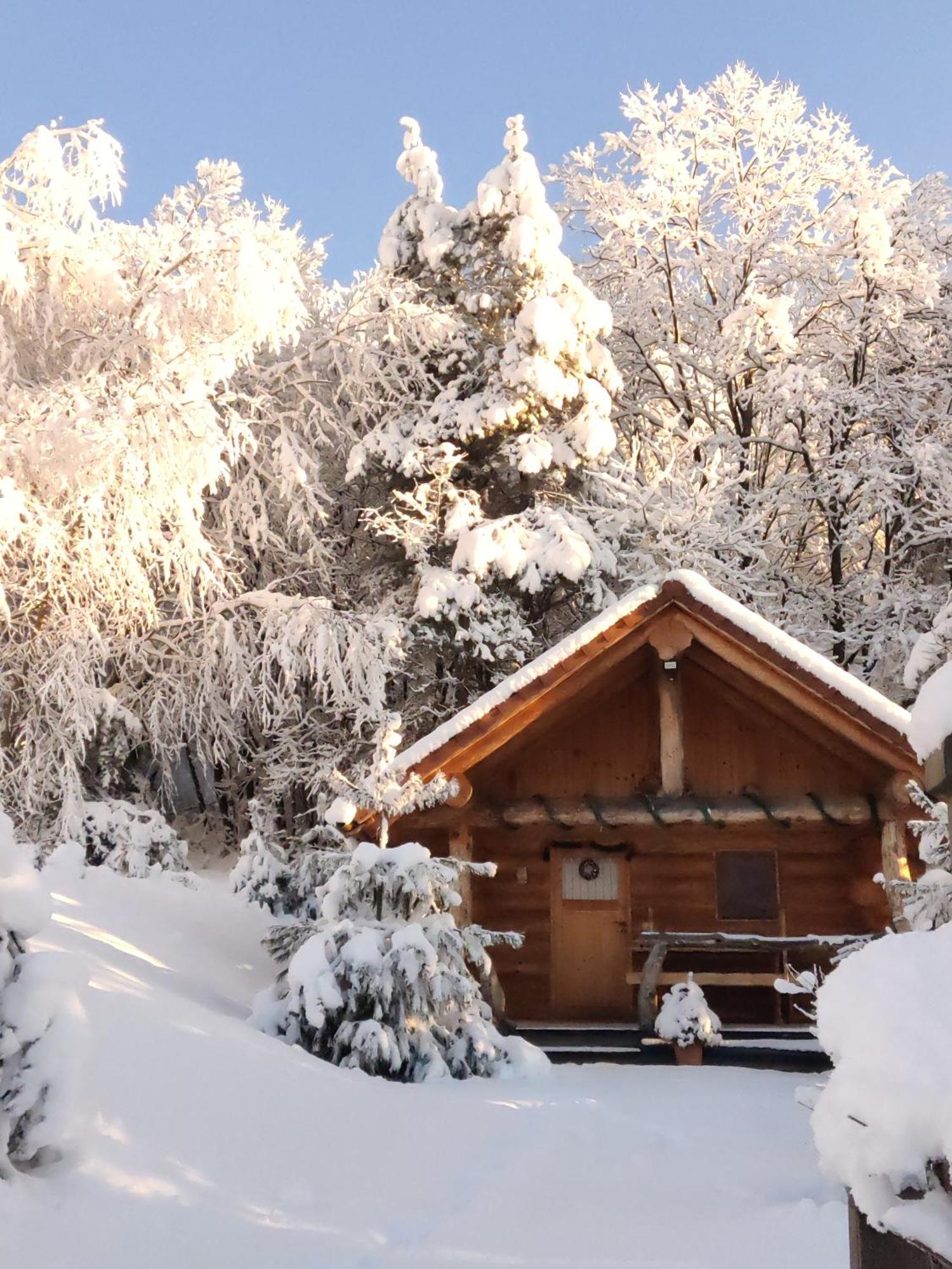 Hut At The Forest Male Brusnice Exterior foto